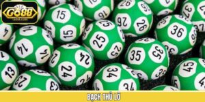 Bạch Thủ Lô - Bật Mí Cách Soi Cầu Từ Các Chuyên Gia Go88