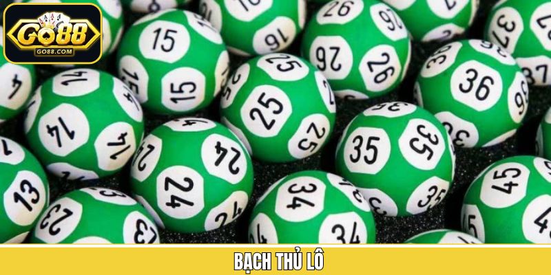 Bạch Thủ Lô - Bật Mí Cách Soi Cầu Từ Các Chuyên Gia Go88