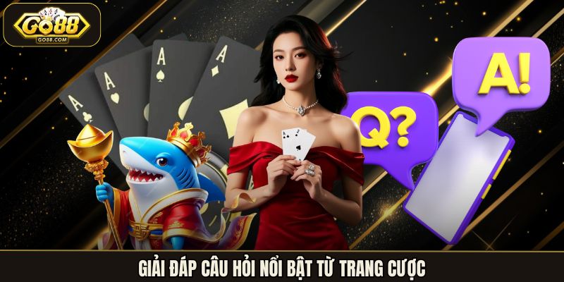 Giải đáp câu hỏi nổi bật từ trang cược